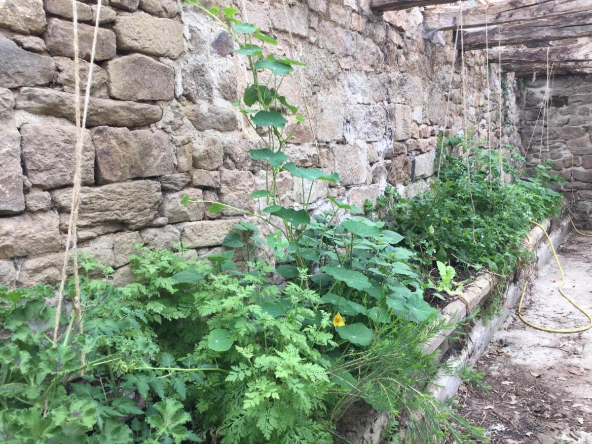 Ecocamping D Hacadour