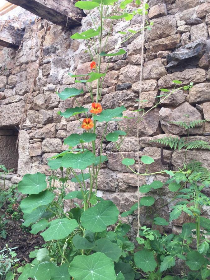 Ecocamping D Hacadour Mellionnec
