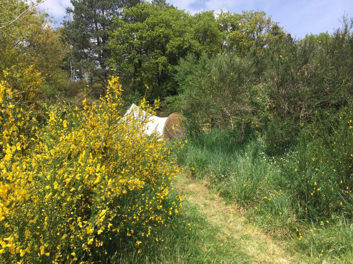 Ecocamping D Hacadour Mellionnec