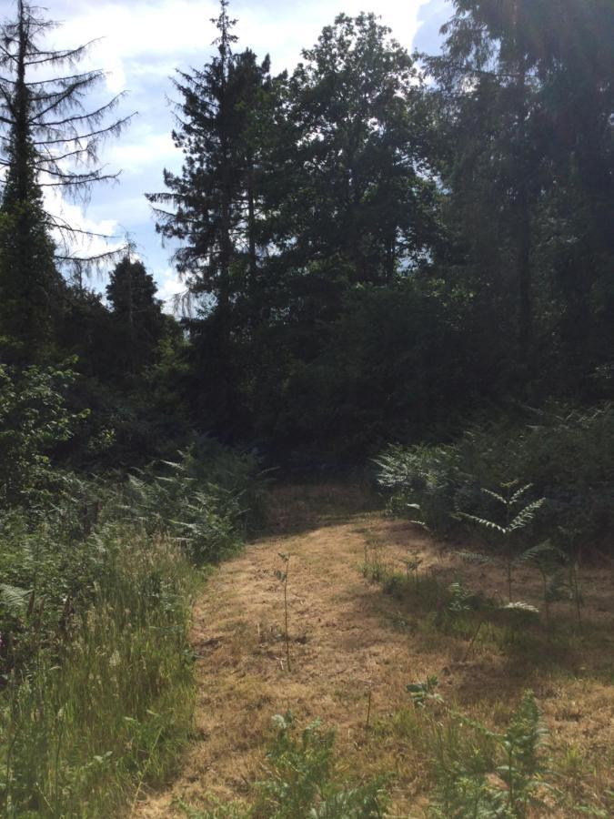 Ecocamping D Hacadour Tente de luxe *