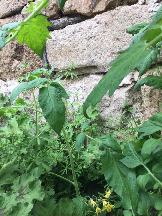 Ecocamping D Hacadour